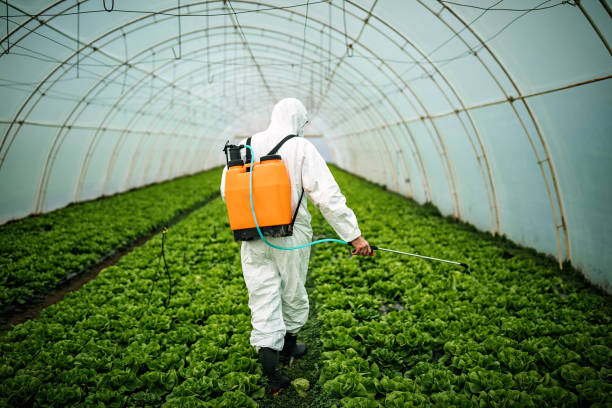 Best Best Pest Control Companies  in Evergreen, AL